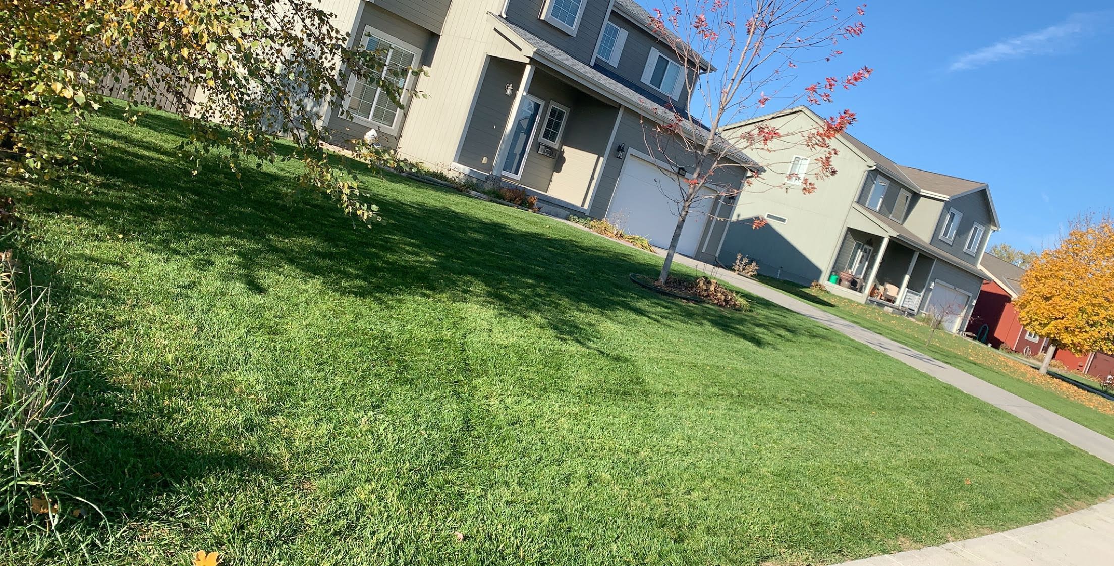 Picasso Lawn Care - lawn maintenance