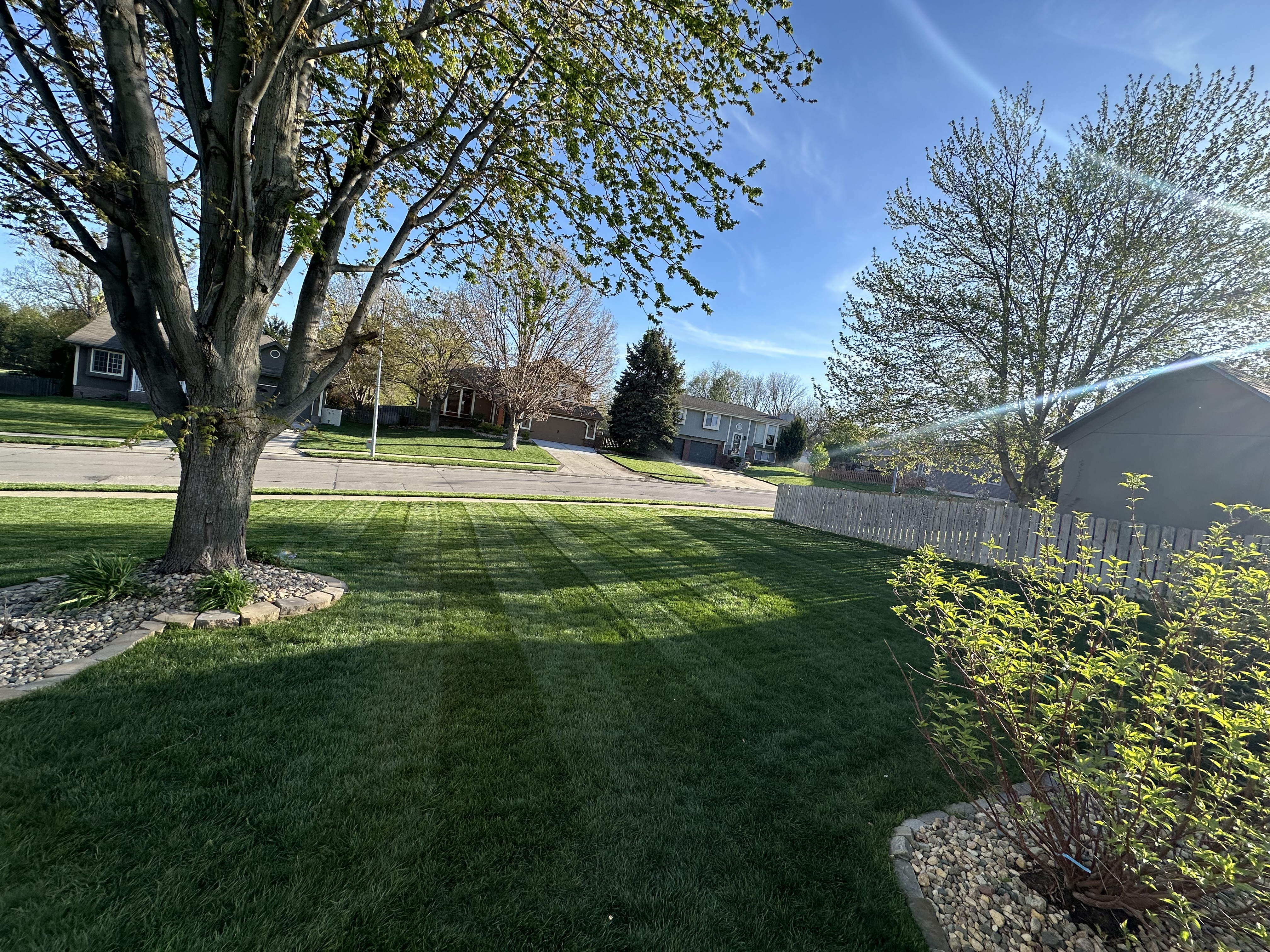 Lawn mowing Bellevue-Papillion