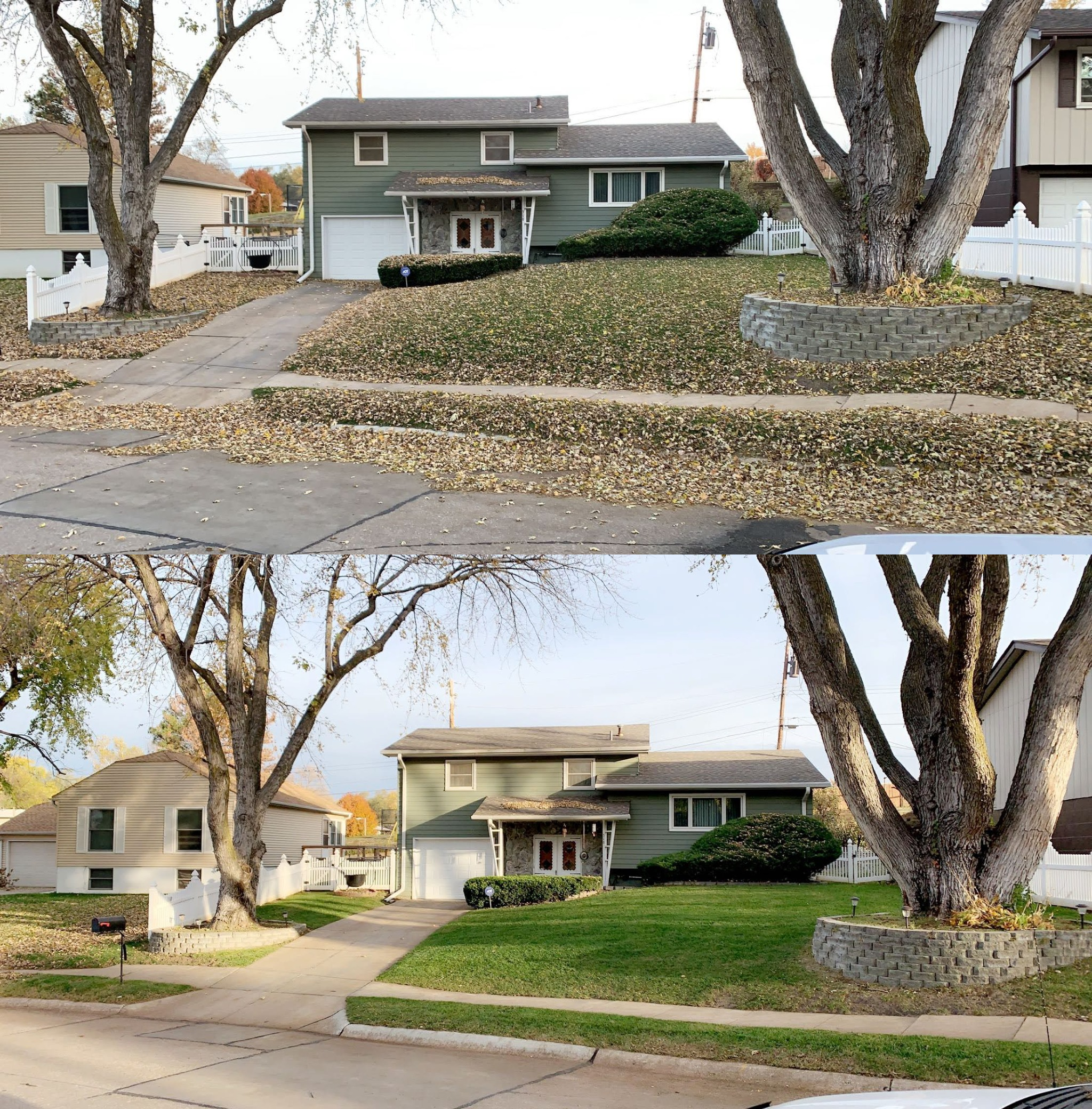 Spring fall yard cleanup Bellevue