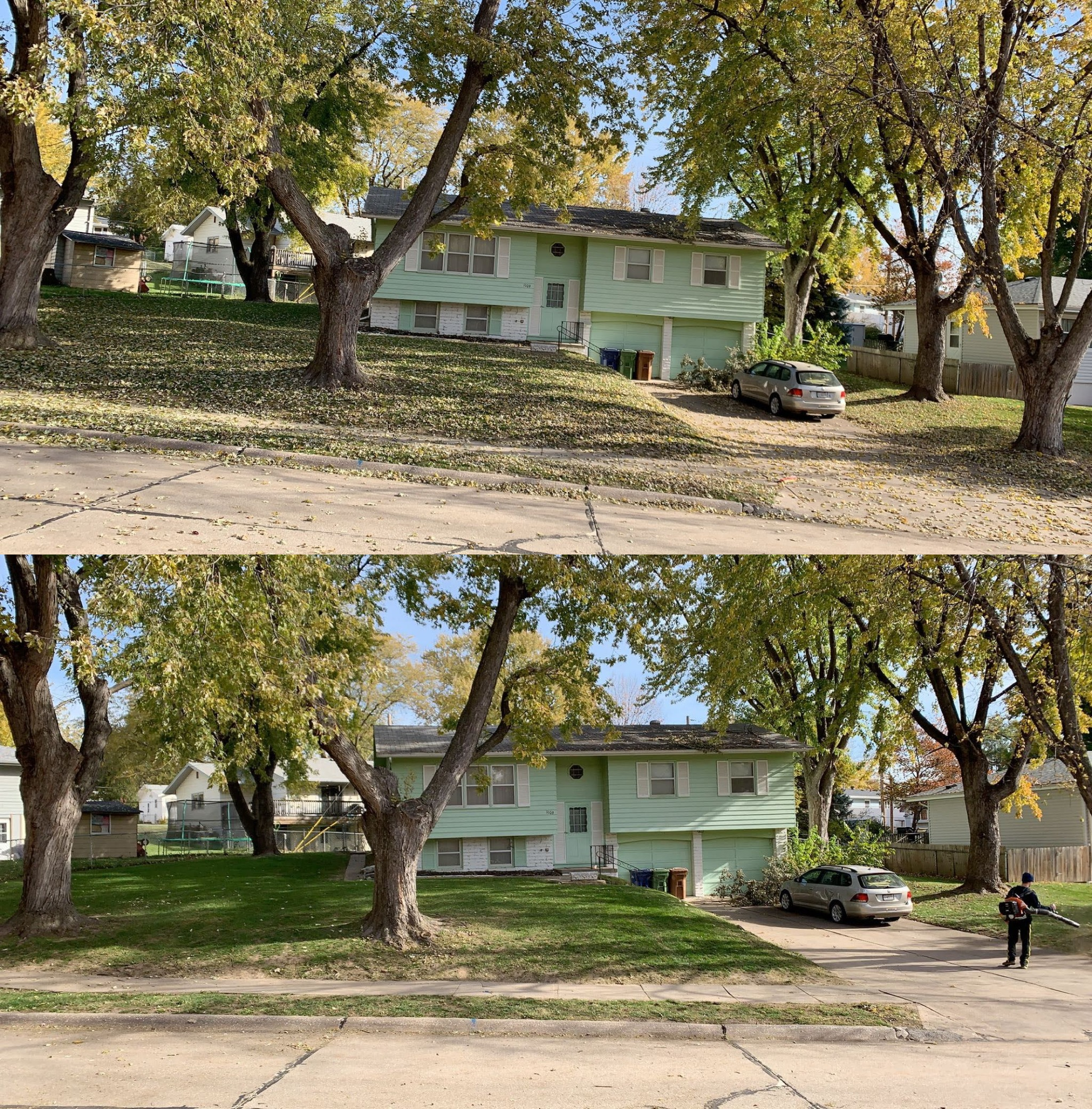 Picasso Lawn Care - before and after transformation
