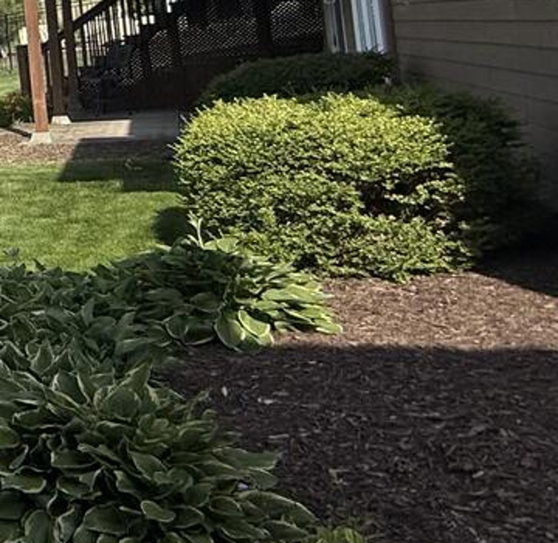 Flower beds and fresh mulch landscaping in Bellevue-Papillion NE