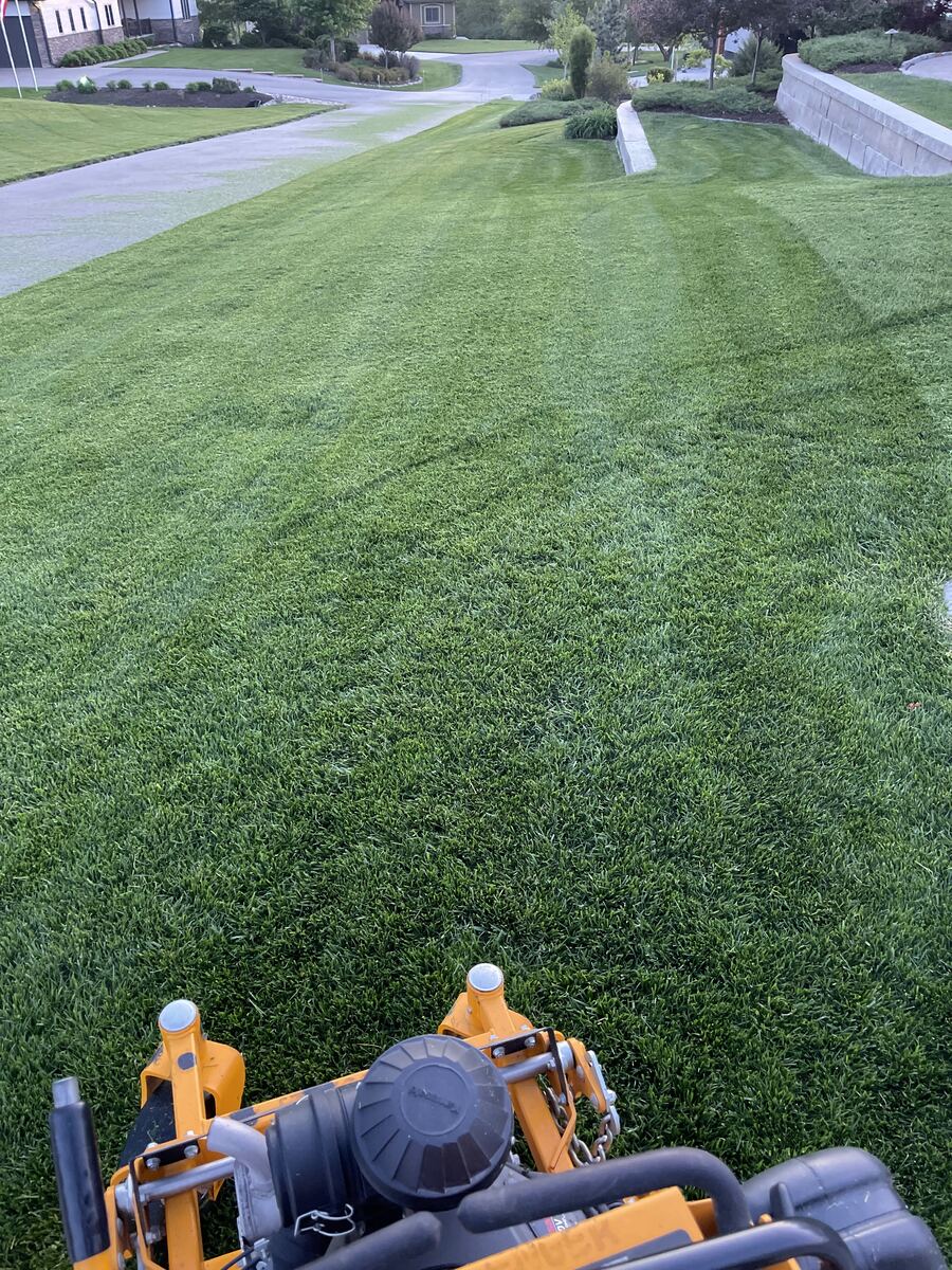 Weekly lawn mowing with stripes in Bellevue-Papillion NE
