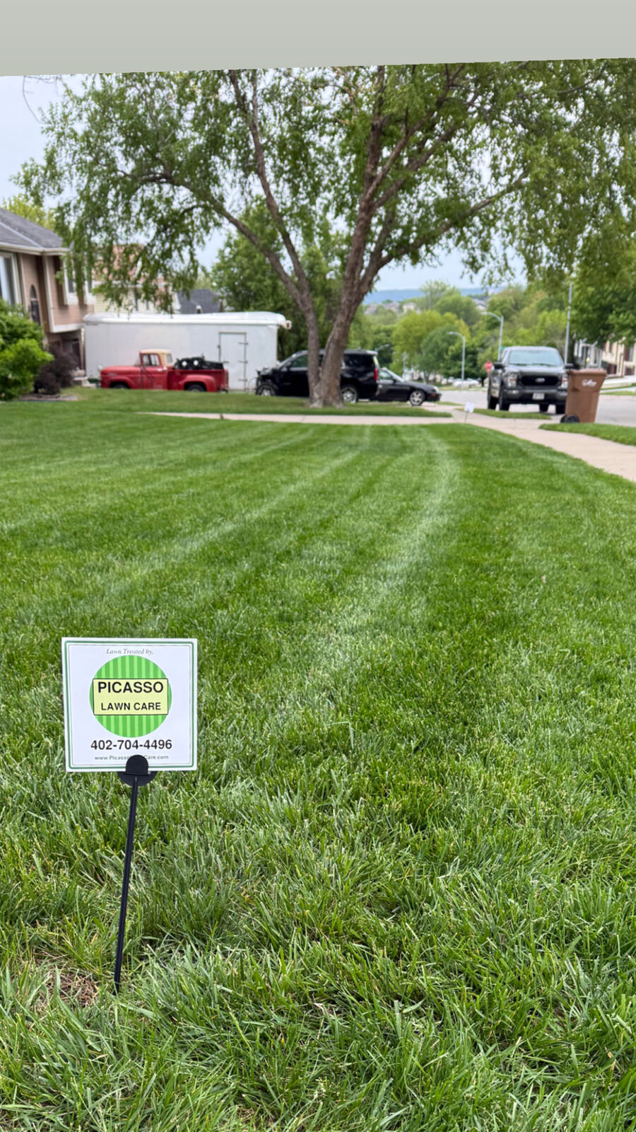 Picasso Lawn Care sign in a freshly striped lawn