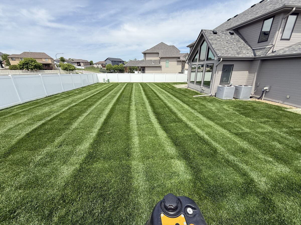 Backyard lawn stripes in Bellevue, NE by Picasso Lawn Care